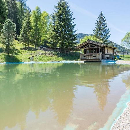 Almliesl Holl-559 Villa Hollersbach im Pinzgau Exterior foto